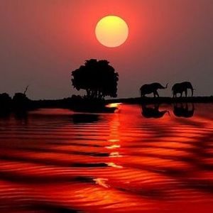 Meet your Posher, Diana